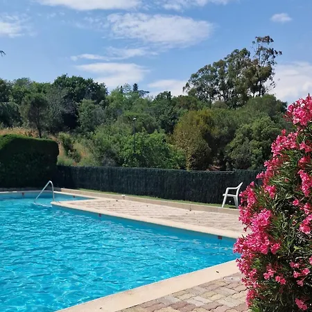 Superbe Au Calme Proche Croisette Apartamento